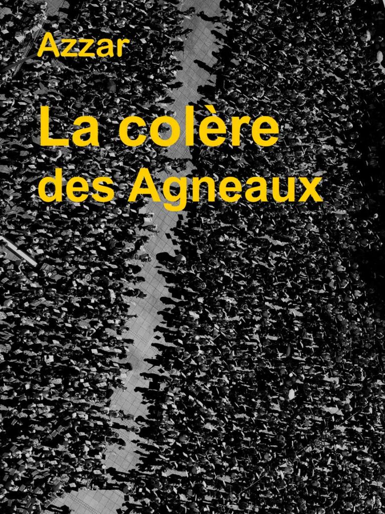 Couverture du roman La colère des agneaux deux populations l'une méchante l'autre bonne face à face prêtes à en découdre site tpama